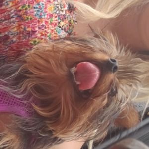 Meet your Posher, Katie